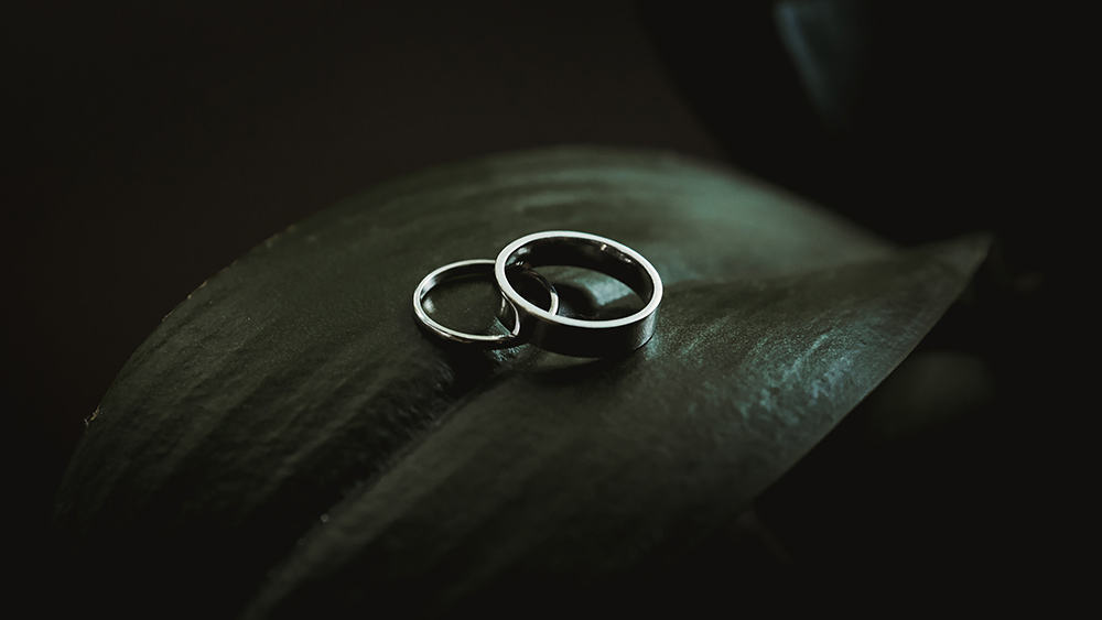 Two silver rings on large green leaf.